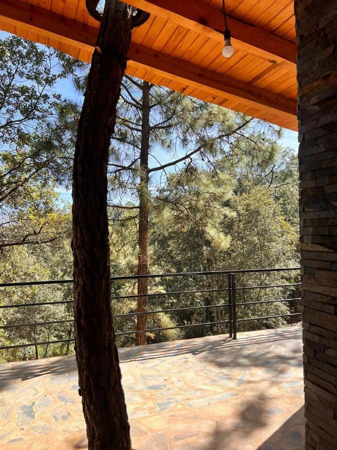 Cabana "Alexa", En El Corazon Del Bosque De Mazamitla Εξωτερικό φωτογραφία