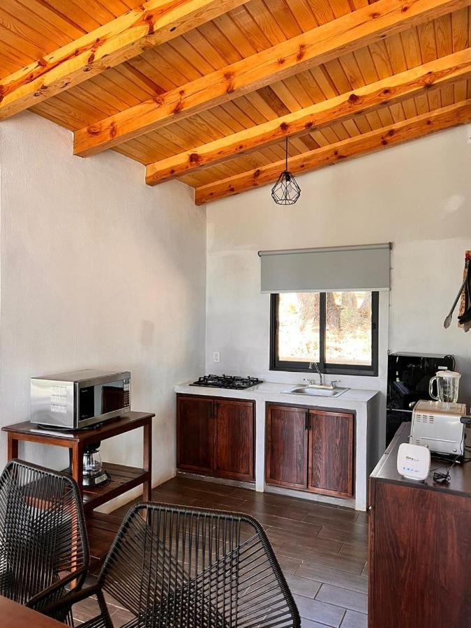 Cabana "Alexa", En El Corazon Del Bosque De Mazamitla Εξωτερικό φωτογραφία