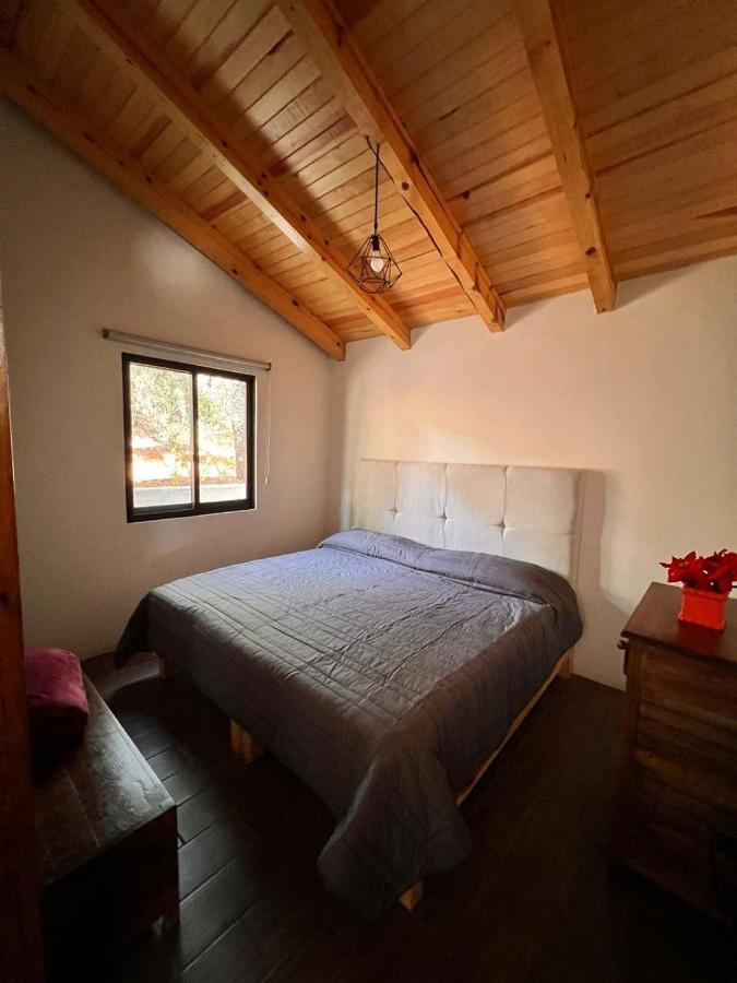 Cabana "Alexa", En El Corazon Del Bosque De Mazamitla Εξωτερικό φωτογραφία