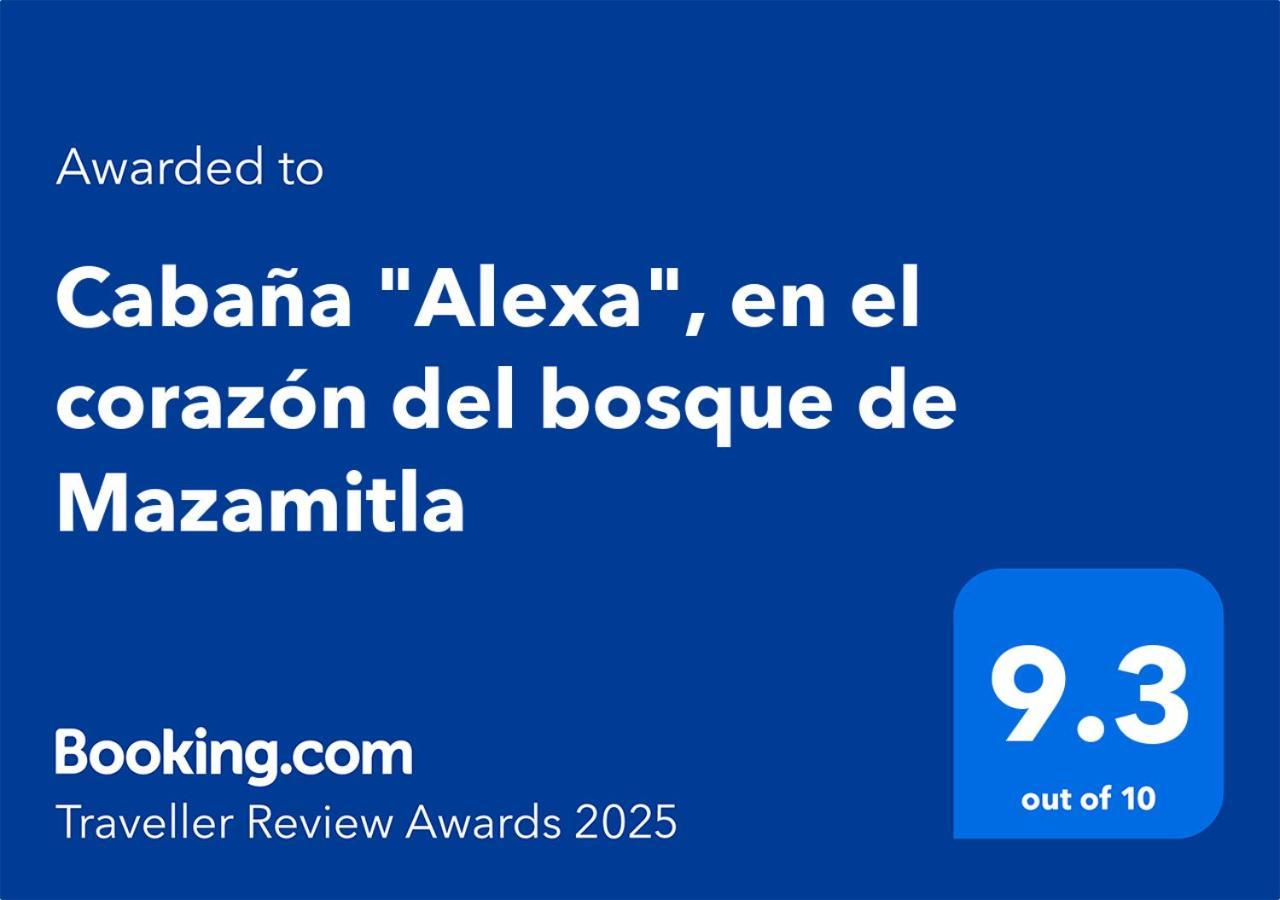 Cabana "Alexa", En El Corazon Del Bosque De Mazamitla Εξωτερικό φωτογραφία